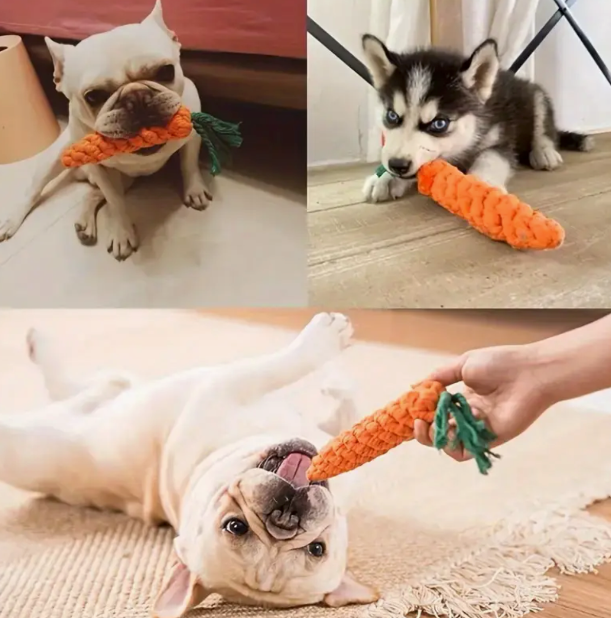 Carrot Rope Toy