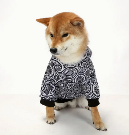 Paisley Dog Sweater