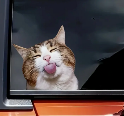 Cute Tabby Cat Vinyl Sticker