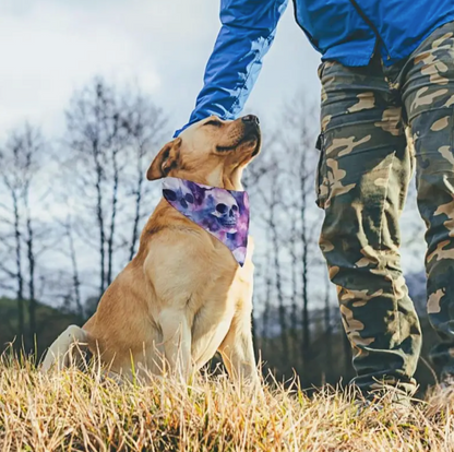 Skull & Bone Pet Bandana
