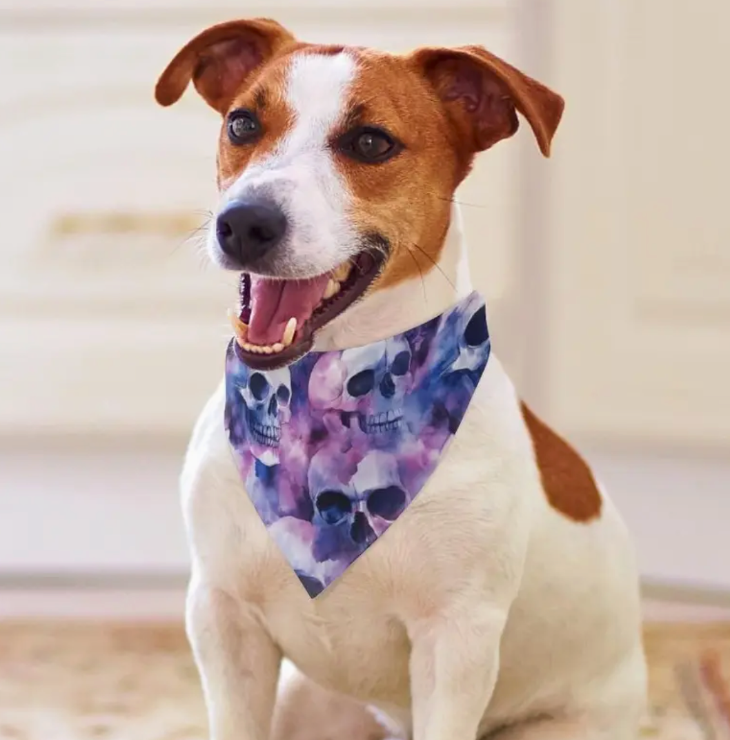 Skull & Bone Pet Bandana