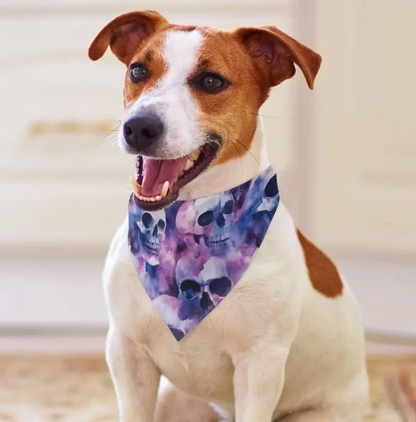 Skull & Bone Pet Bandana