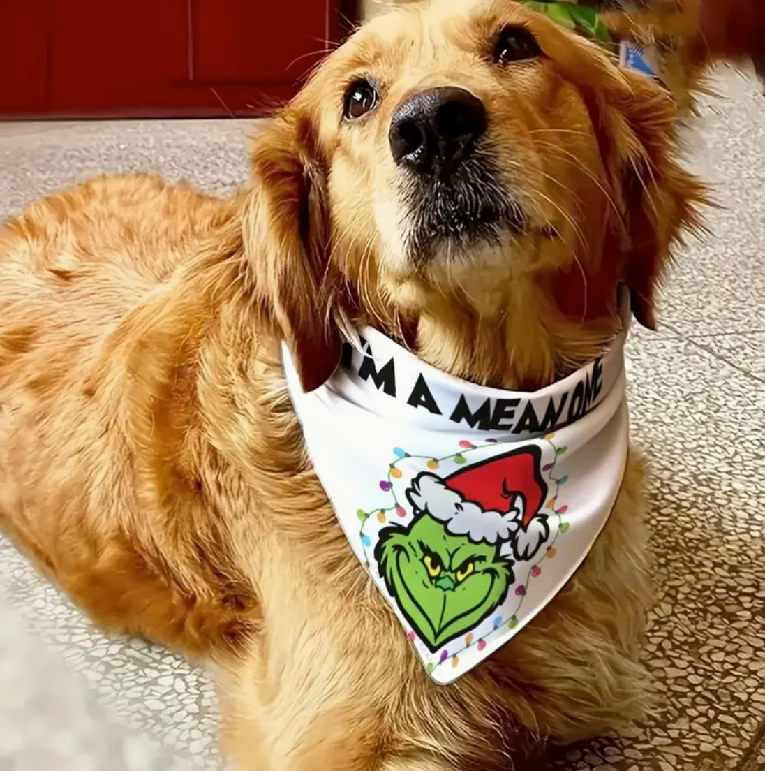 The Grinch Bandana-White