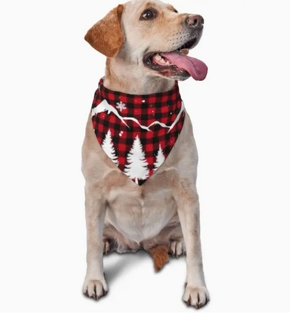 Plaid Winter Bandana