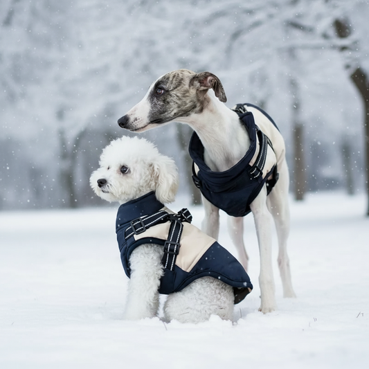 Reflective dog jacket-Navy/beige