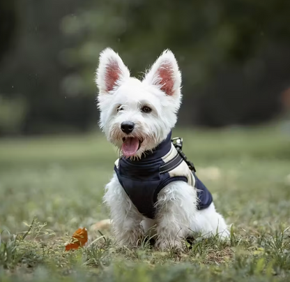 Reflective dog jacket-Navy/beige
