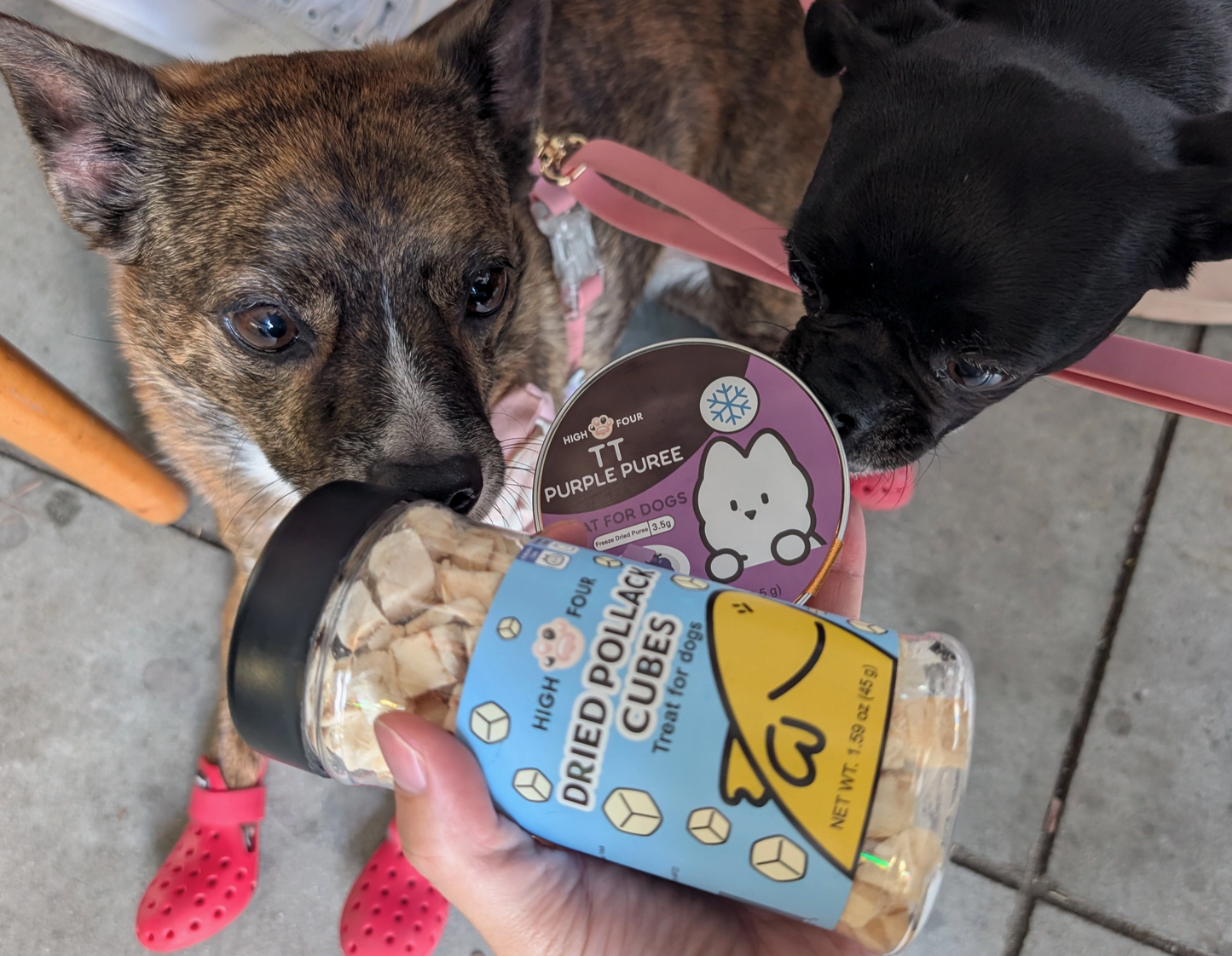 Wholesome Purple Puree For Dogs