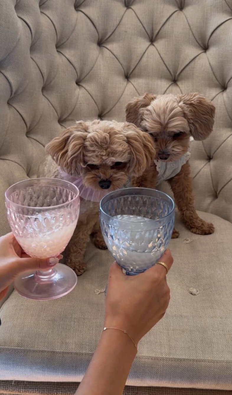 Rice Wine For Dogs!  Non-Alcoholic Vitamin
