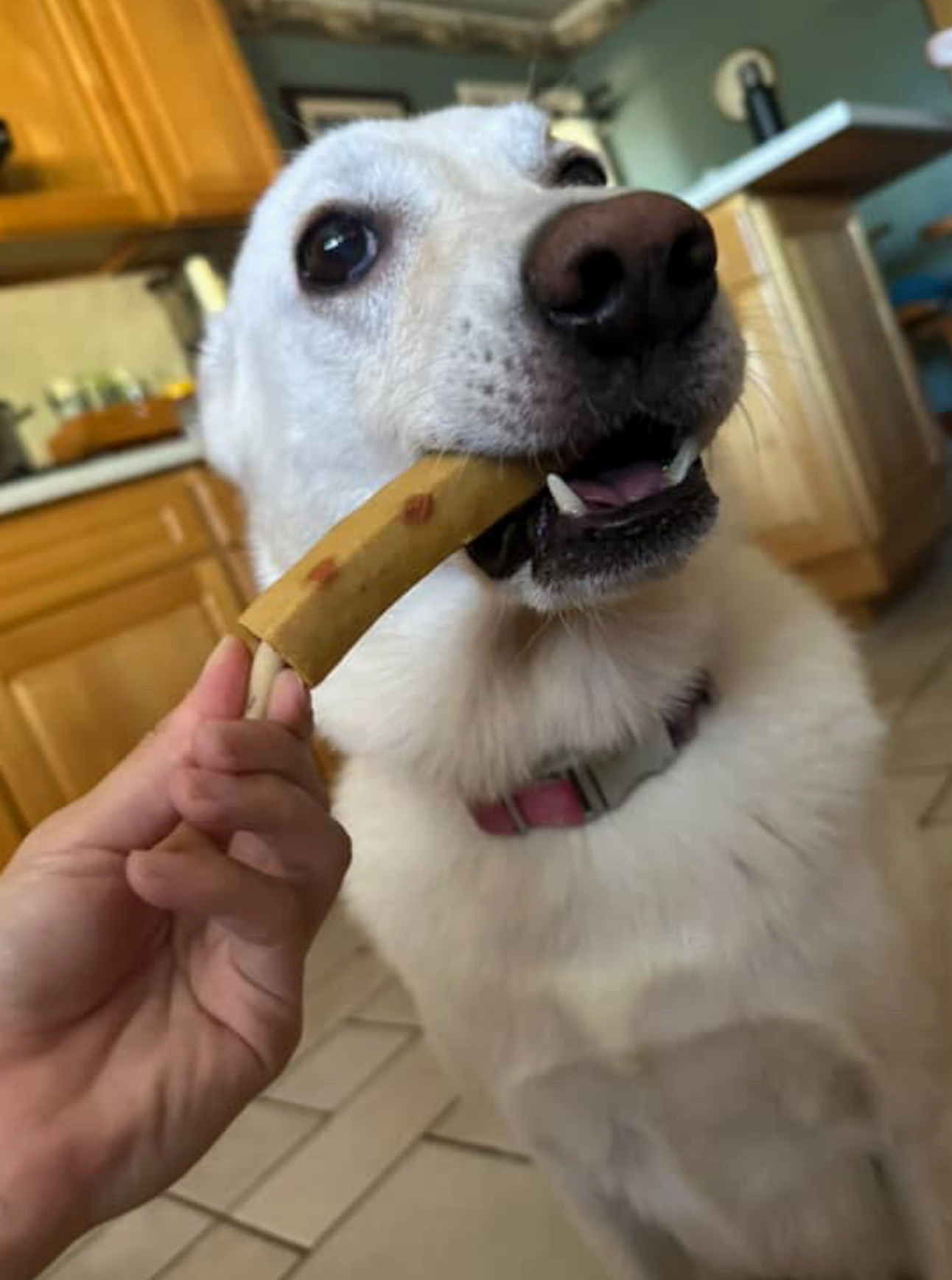 Pollack Fish Cake Skewer