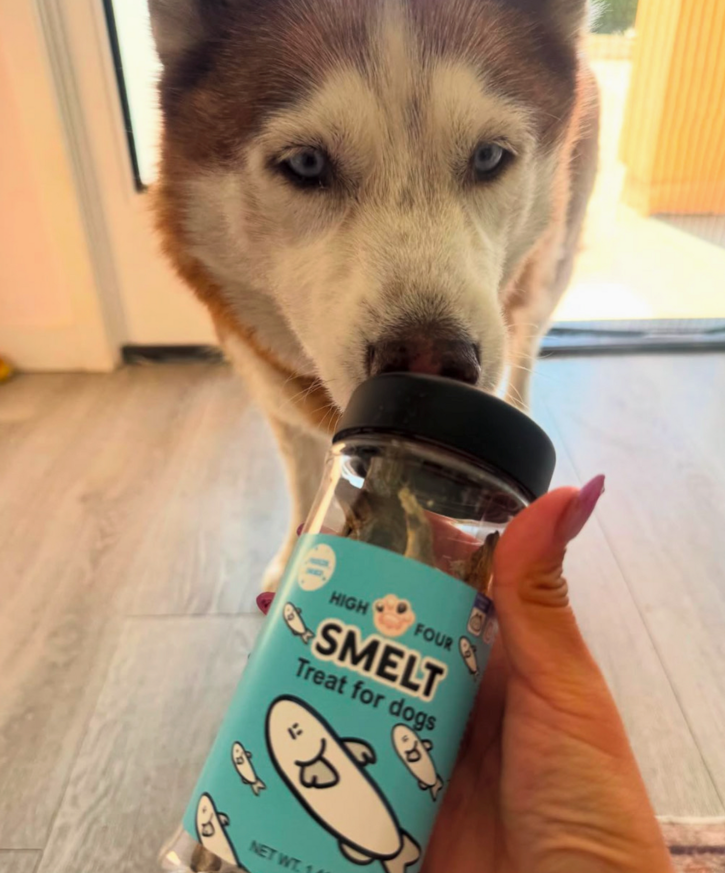 Freeze-Dried 100% Whole Smelt Treat