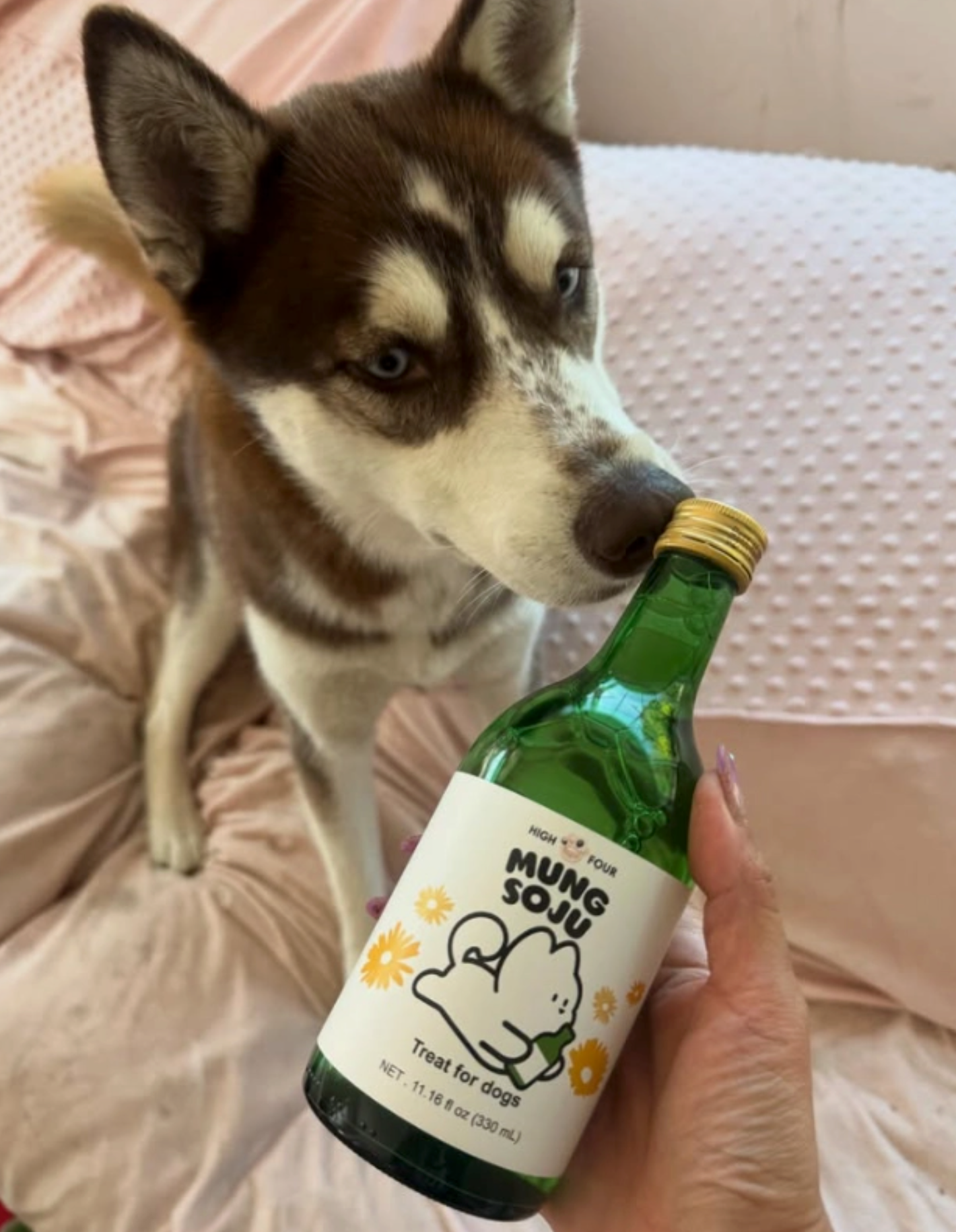Soju For Dogs!  Non-Alcoholic Vitamin Dog Soju