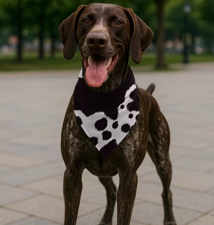 Cow print Bandana