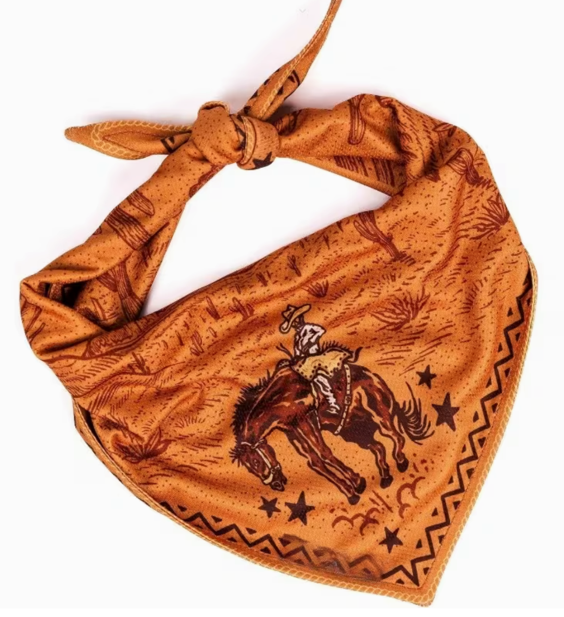 Giddy up pet bandana