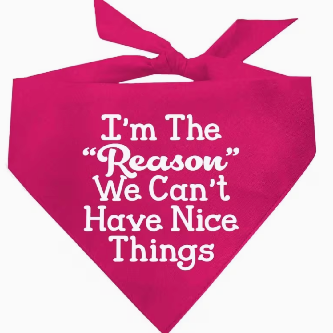 I'm the reason bandana-Pink