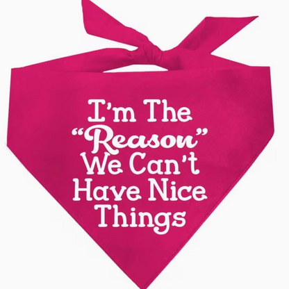 I'm the reason bandana-Pink