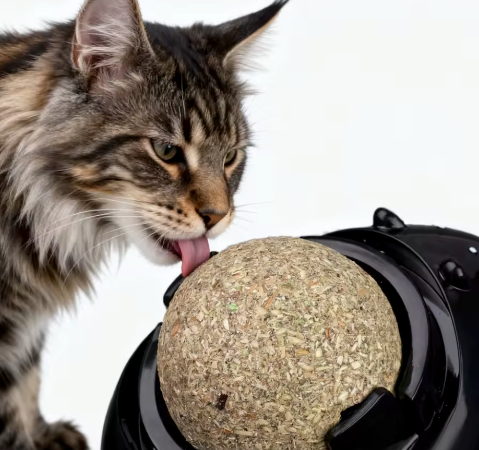 Mouse catnip ball toy