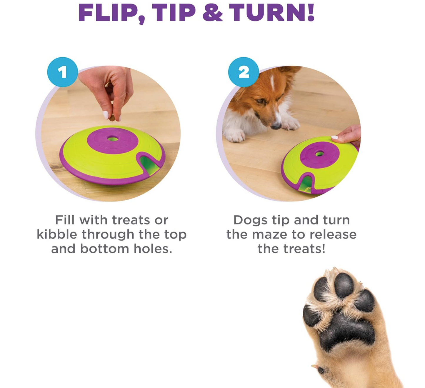 Dog Treat Maze