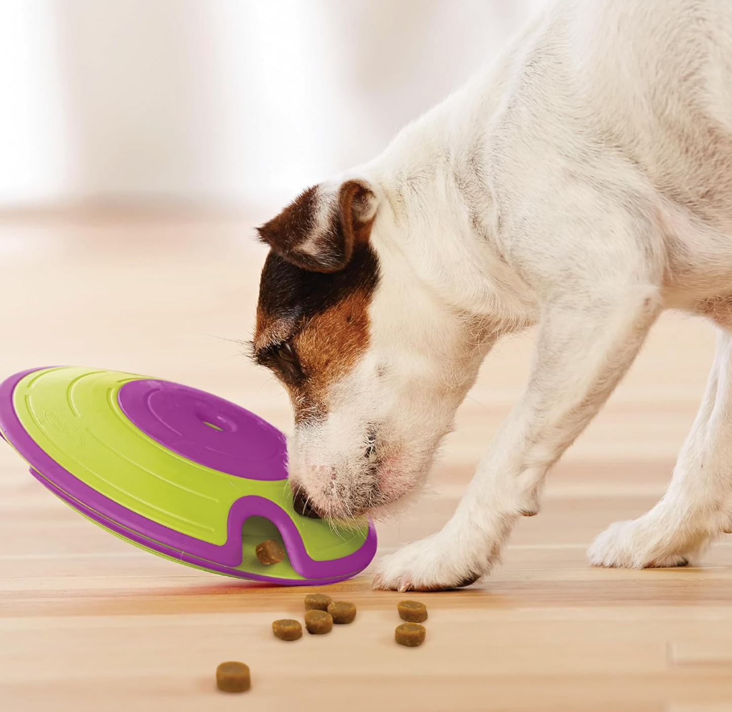 Dog Treat Maze