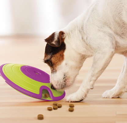 Dog Treat Maze