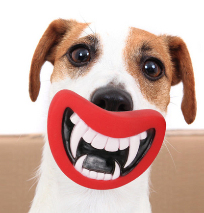 Funny mouth teeth for dogs
