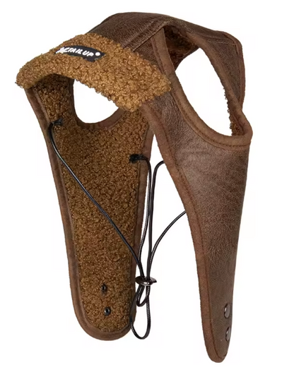 Dog Aviator Cap