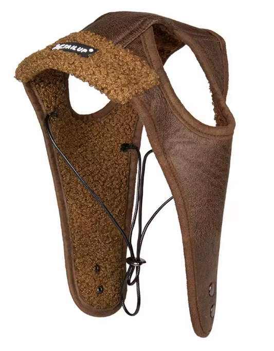 Dog Aviator Cap