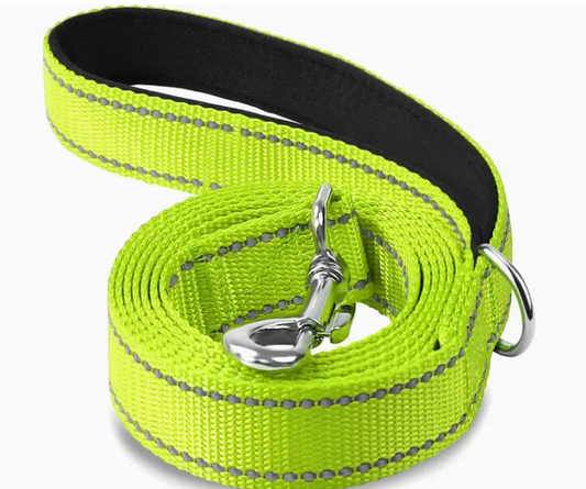 Reflective Nylon Leash- Grass Green