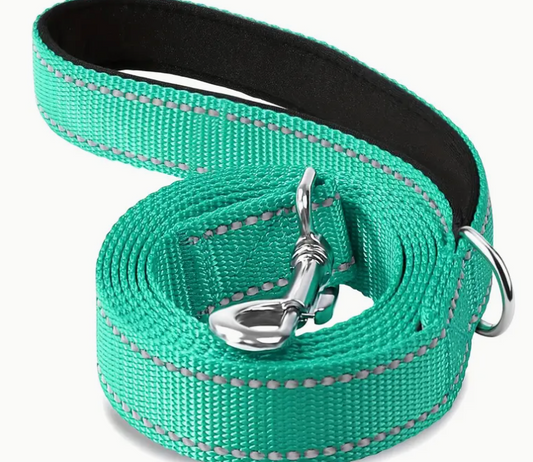 Reflective Nylon Leash- Emerald