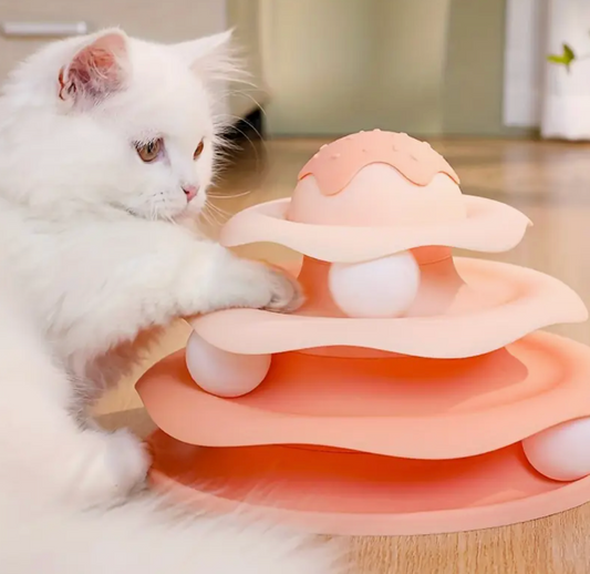 Cat Turntable