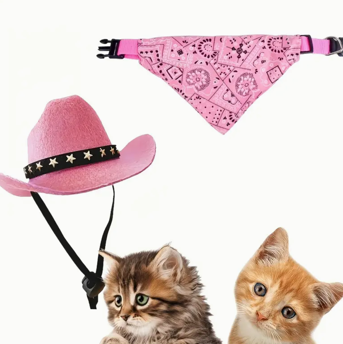 CowGirl Hat with bandana collar-Small