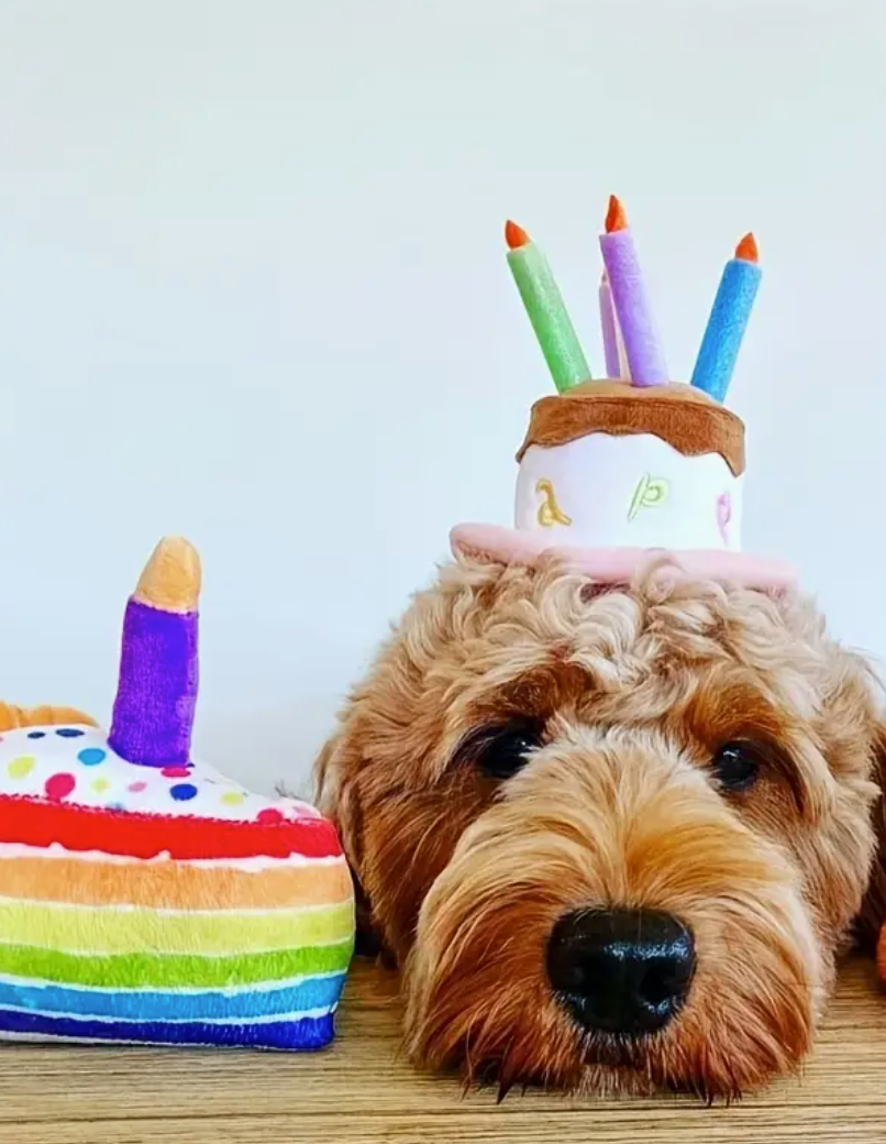 Birthday Cake Toy