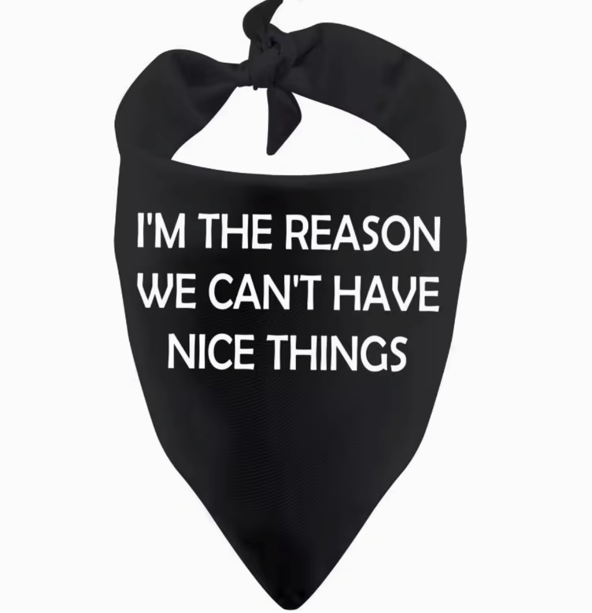 Im the reason bandana