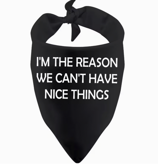 Im the reason bandana