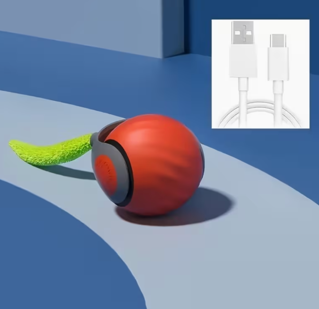 Smart Teaser Ball