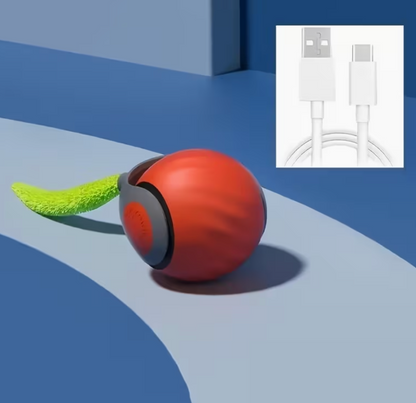 Smart Teaser Ball