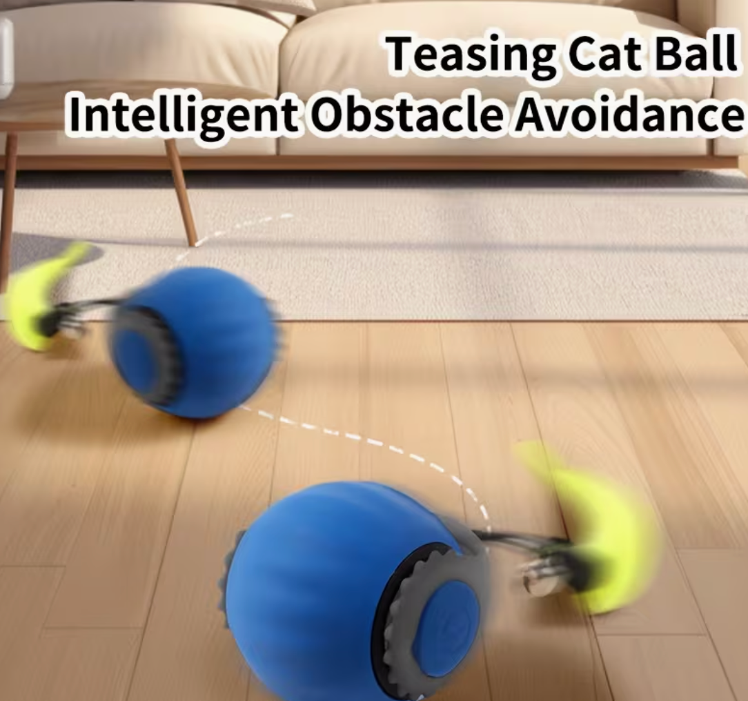 Smart Teaser Ball