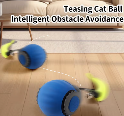 Smart Teaser Ball