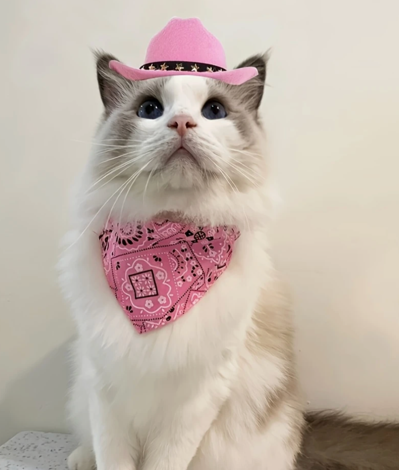 Cowboy/girl Hat