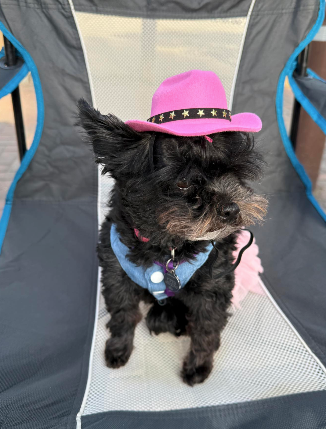 Cowboy/girl Hat