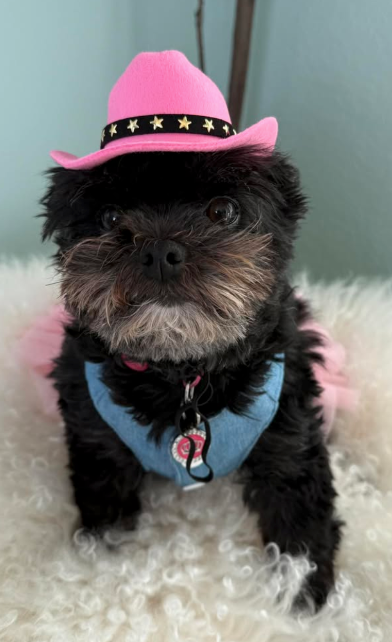 Cowboy/girl Hat