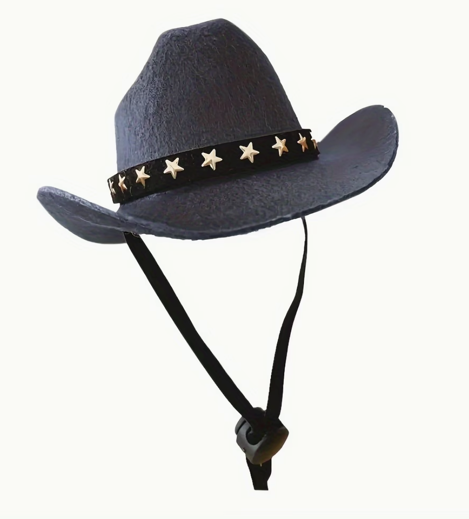Cowboy/girl Hat