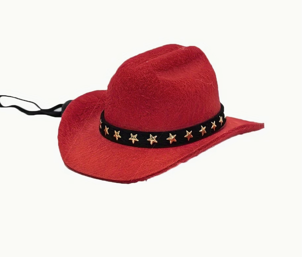 Cowboy/girl Hat