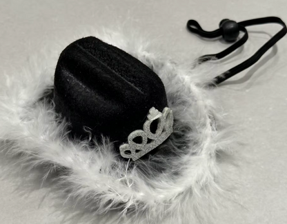Feather Crown Cowboy/girl hat