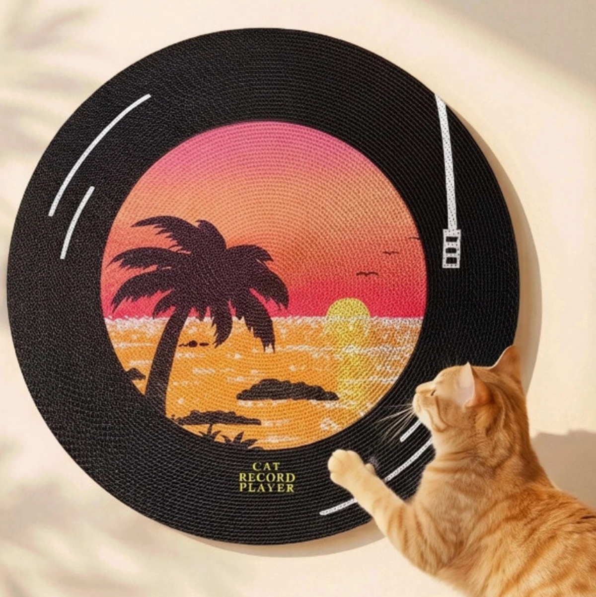 Spinning record cat scratcher