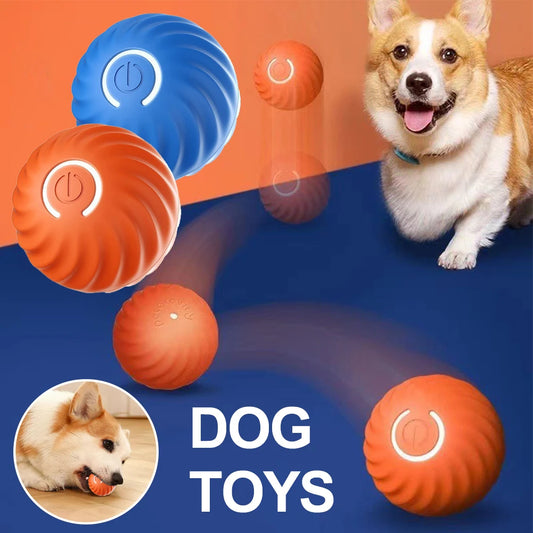 Interactive Automatic Pet Toy Ball