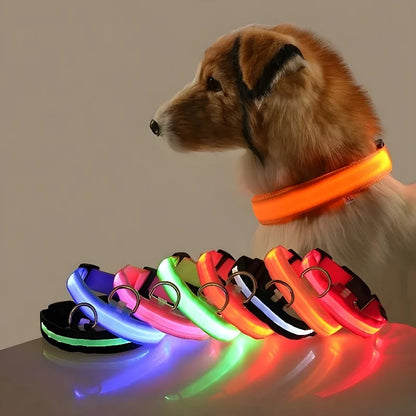 LED Nylon Pet Collar for Safety