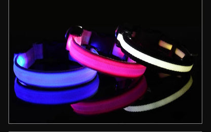 LED Nylon Pet Collar for Safety