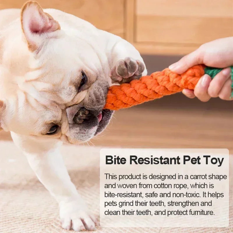 Carrot Rope Dog Toys