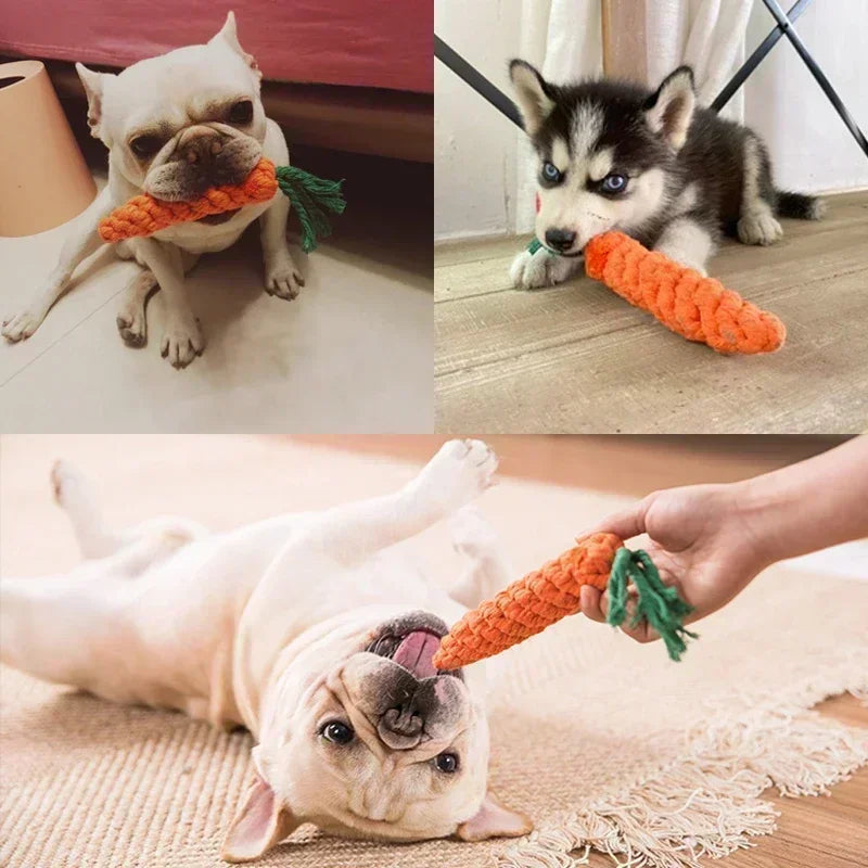 Carrot Rope Dog Toys