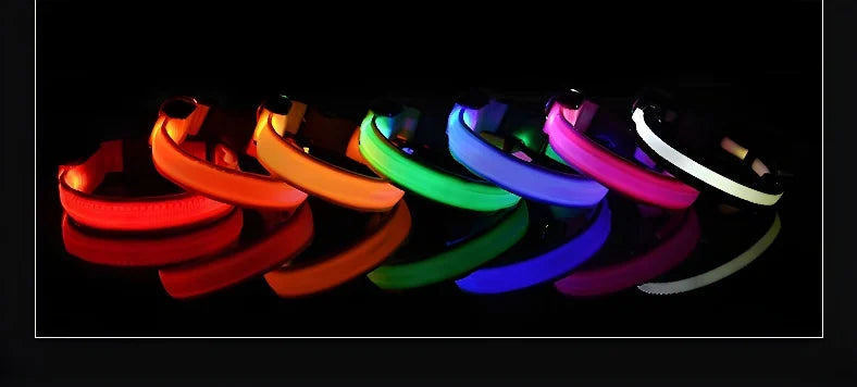 LED Nylon Pet Collar for Safety